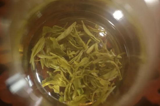 碧螺春正確泡法和飲用，碧螺春茶泡茶方法與溫度