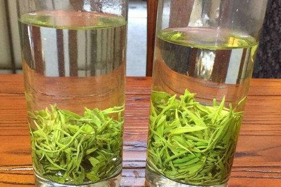 黃金茶的功效及禁忌癥，黃金茶有什么副作用嗎？