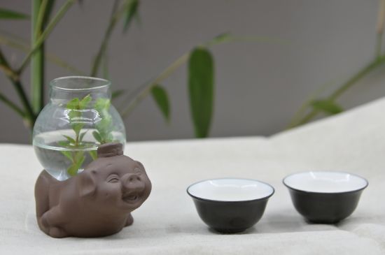 正確泡茶13個流程，新手從零開始學泡茶的步驟