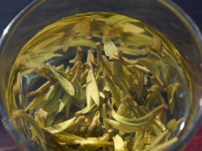 安吉白茶的功效與作用，簡單概括安吉白茶功效
