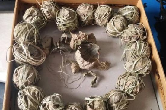 鷓鴣茶用拆開泡嗎，鷓鴣茶要解開繩子泡嗎