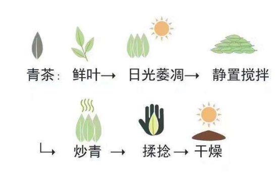 茶葉名稱大全和圖片，茶葉名字大全三四個字！
