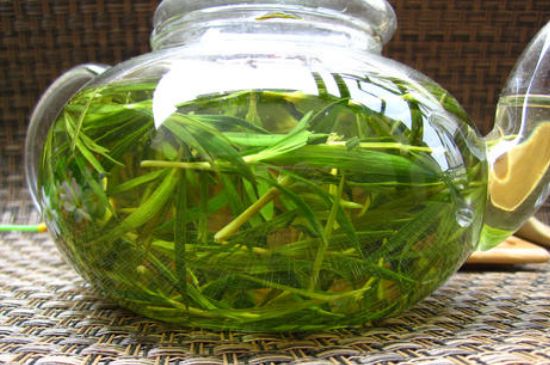 竹葉茶的禁忌，竹葉泡茶的功效禁忌