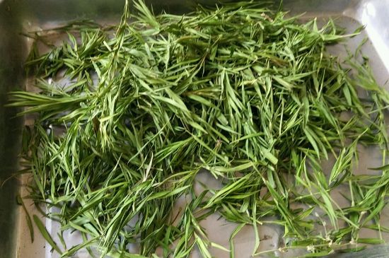 哪類(lèi)人不適合喝石竹茶，石竹茶的功效與禁忌