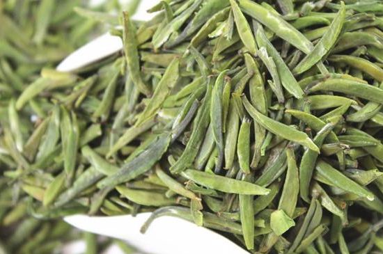 雀舌茶什么人不能喝，雀舌茶的功效與禁忌