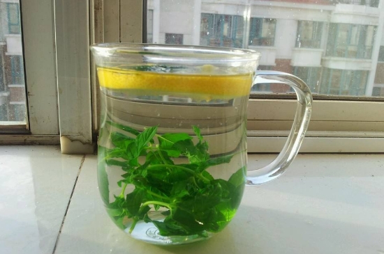 薄荷茶的功效與作用，喝薄荷茶有什么好處？