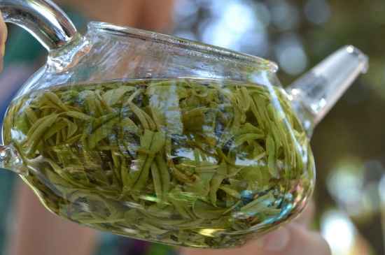 新手學(xué)泡茶的基本常識，從零開始學(xué)泡茶