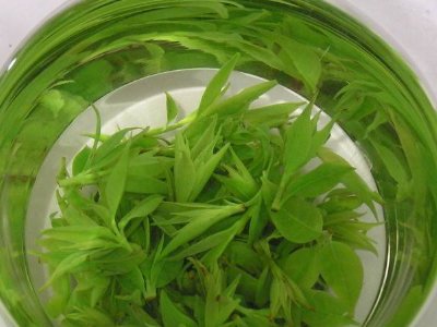茶葉具有什么功效，茶葉的功效與作用大全
