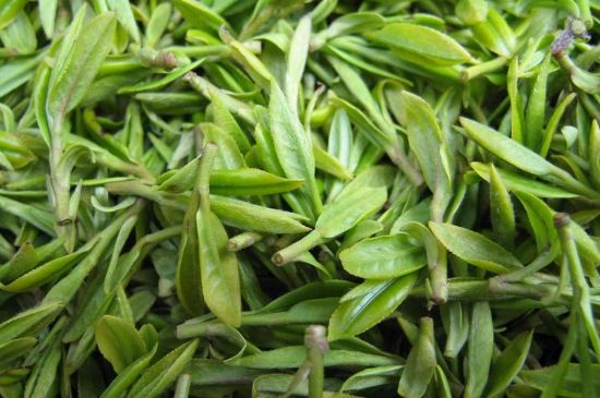 世界最貴的茶葉排行榜，十大最貴的茶