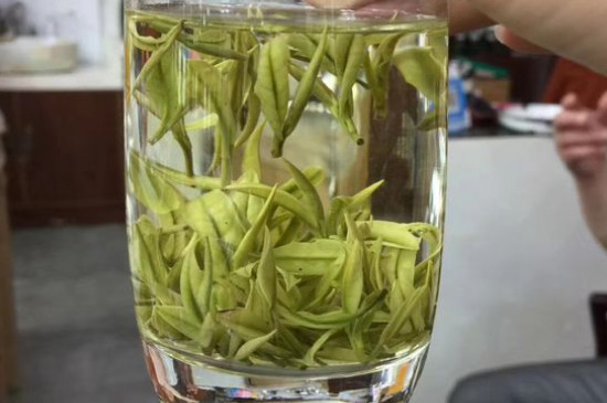 茶葉過期5年了但沒開封，茶葉放久了能喝嗎