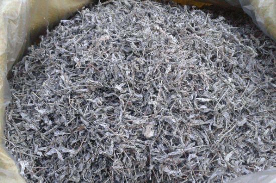 怎樣辨別莓茶發(fā)霉了，莓茶發(fā)霉和白霜的區(qū)別