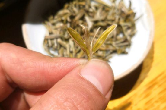 六大茶類哪種適合長(zhǎng)期存放，日常如何保存方法一覽？