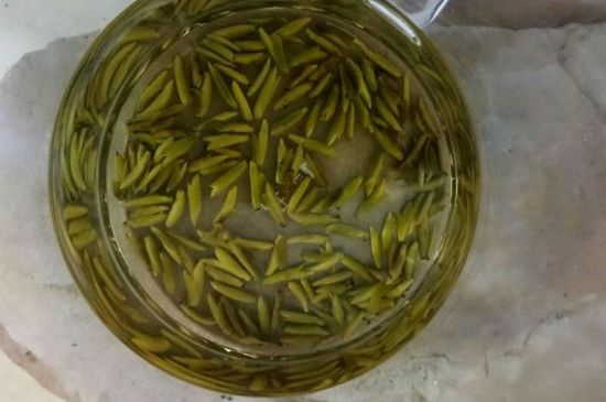 茶葉在哪里買比較好，哪里能買到好的茶葉