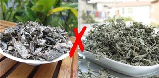 張家界茅巖莓茶與藤茶是同一種茶嗎，藤茶跟莓茶一不一樣？