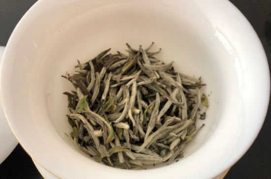 春茶上市白茶的好壞怎么區(qū)分，春白茶怎么分辨好不好？