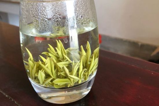 安吉白茶耐寒嗎，白茶適合放冰箱嗎