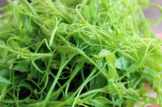 茅巖莓茶別名是什么，莓茶別名叫藤茶嗎？