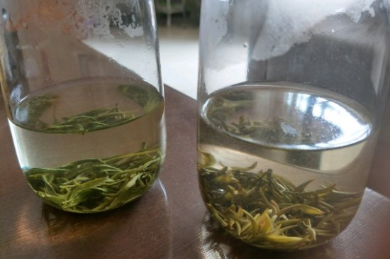 真假碧螺春泡水后區(qū)別，蘇州洞庭碧螺春怎樣鑒別好壞？