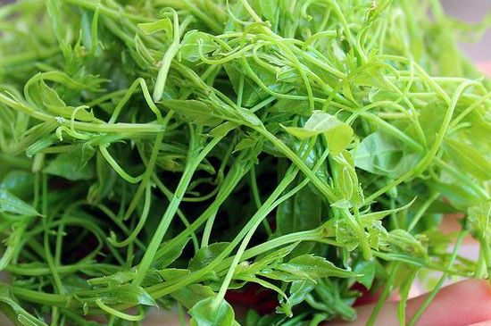 茅巖莓茶保質(zhì)期有多久，張家界莓茶存放時間長了還能喝嗎？