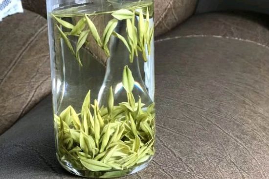 安吉白茶夏天怎么保存，安吉白茶能冷凍儲(chǔ)存嗎？