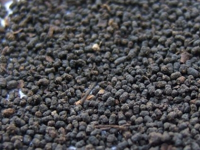 圓形顆粒狀茶是什么茶，像飼料一樣一粒粒的是什么茶？