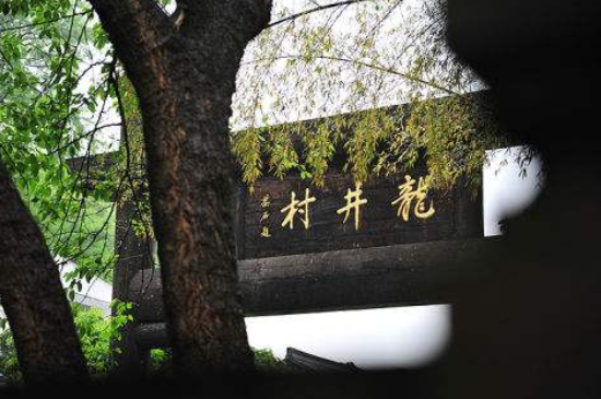 杭州買龍井茶攻略，怎么買到正宗的西湖龍井？