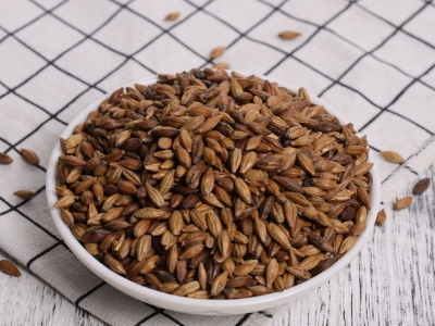 圓形顆粒狀茶是什么茶，像飼料一樣一粒粒的是什么茶？