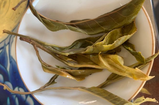 普洱茶十大學(xué)費茶排名，吉普H是學(xué)費茶？
