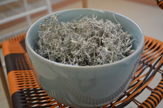 怎樣辨別莓茶發(fā)霉了，莓茶發(fā)霉和白霜的區(qū)別