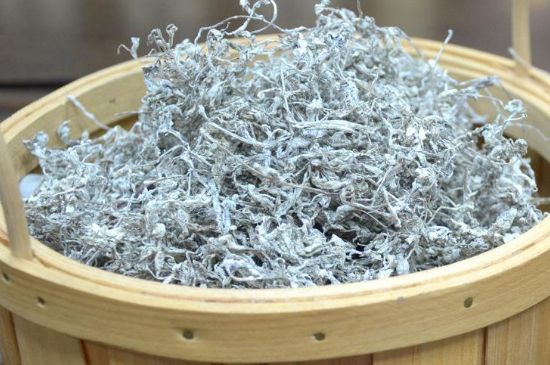 張家界莓茶真假對比，野生莓茶的鑒別方法
