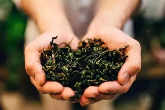 茶葉怎么炒制才香，怎樣炒茶葉更香？