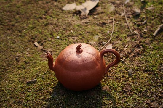 紫砂壺泡什么茶最佳，紫砂壺一般泡什么茶？