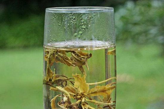 茉莉龍珠什么人不能喝，茉莉龍珠茶什么體質(zhì)不能喝？