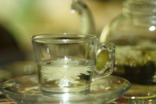 菊花茶天天喝行嗎，每天喝菊花泡茶喝好嗎？