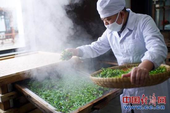 炒青綠茶與綠茶的區(qū)別，烘青和炒青哪個好喝？