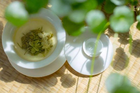 茉莉花茶6種人不要喝，什么體質(zhì)不適合喝茉莉花茶？