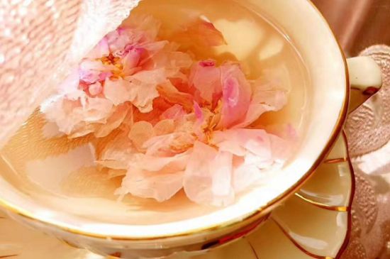 玫瑰花茶一周喝幾次，玫瑰花茶可以天天喝嗎？