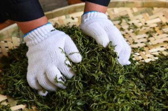 綠茶加工工藝流程圖，綠茶的加工制作包含哪幾個步驟？