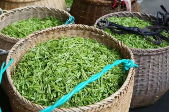 茶葉怎么炒制才香，怎樣炒茶葉更香？