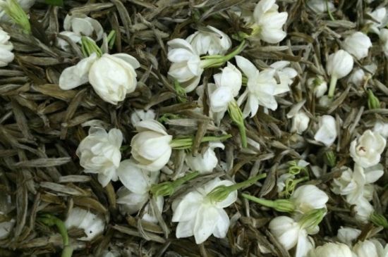 茉莉銀針口感，茉莉銀針是什么味道？
