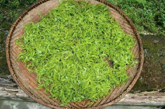 茅巖莓茶加工工藝，莓茶的工藝制作過程