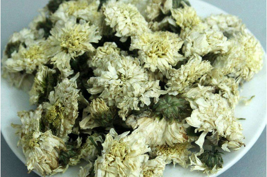 菊花茶買小朵還是大朵，泡茶用的小菊花和大菊花哪個(gè)好
