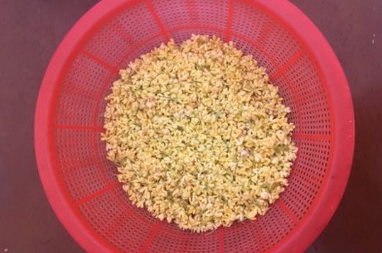 干桂花茶的制作方法，怎樣自制桂花茶？