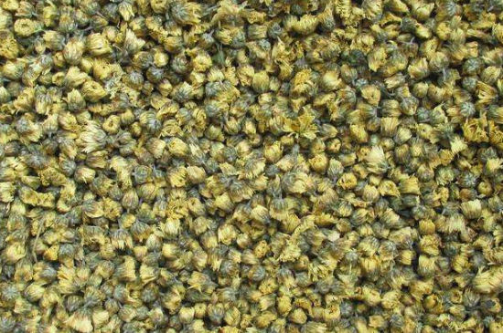 菊花茶大朵小朵有什么區(qū)別，菊花喝大朵還是小朵？