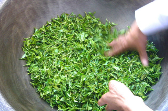 綠茶加工工藝流程圖，綠茶的加工制作包含哪幾個步驟？