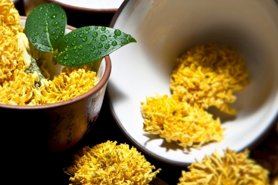 孕婦可以喝菊花茶嗎，菊花對胎兒有致畸作用？