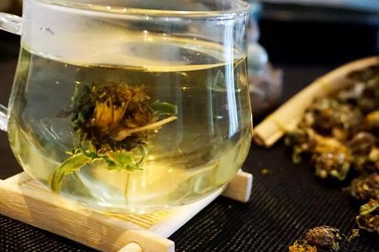 蒲公英最佳搭配，蒲公英茶和什么搭配泡水最佳