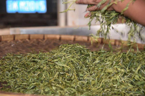 炒青綠茶與綠茶的區(qū)別，烘青和炒青哪個好喝？
