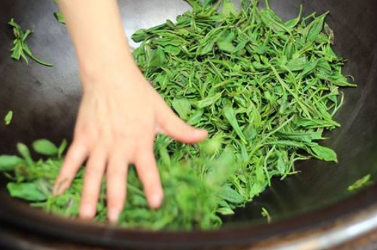 炒青綠茶與綠茶的區(qū)別，烘青和炒青哪個好喝？