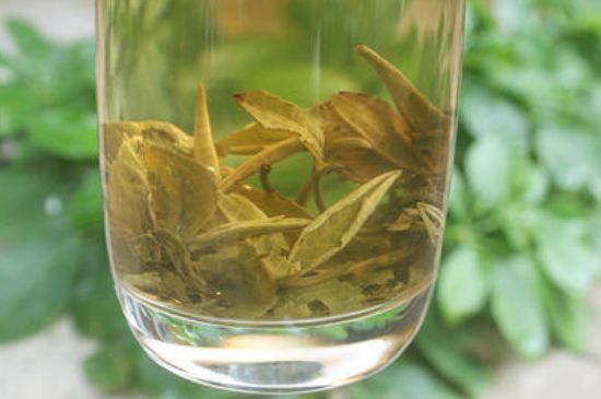 茉莉龍珠泡開后為什么都是梗，茉莉龍珠泡開后什么樣？